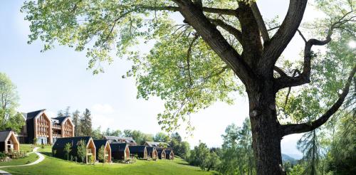 ADLER Lodge RITTEN