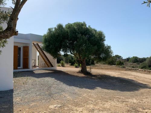 Casa Vedrá Sant Francesc Xavier