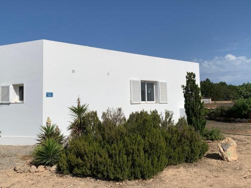 Casa Vedrá - image 4