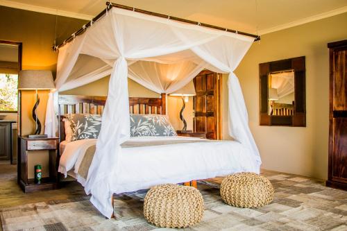 African Safari Lodge