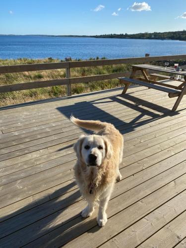 BaySide Cottage