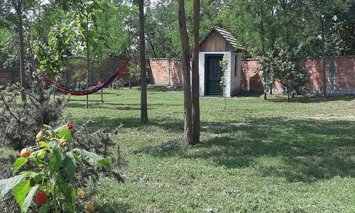EVA HOUSE - image 11