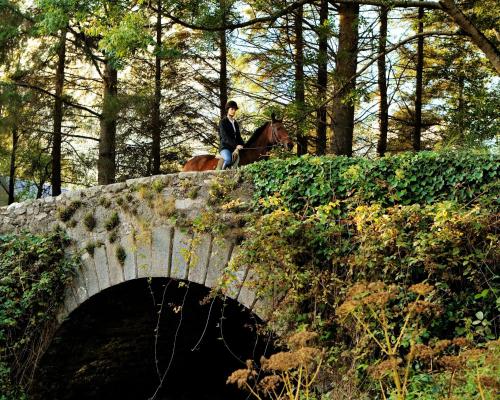 BrookLodge & Macreddin Village - image 7