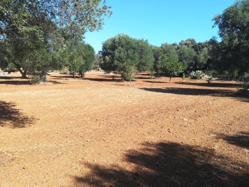 Trullo Alessandro e Villa Raffaela