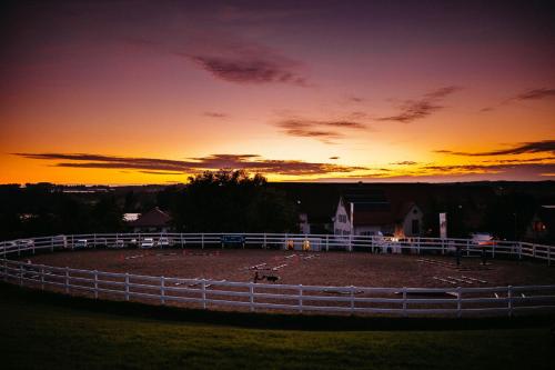 Schnyder Ranch