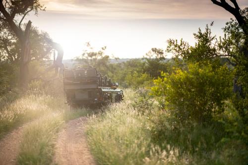 Simbavati Camp George