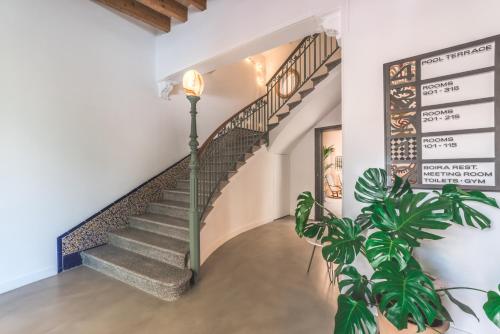 Nou Baleares - image 7