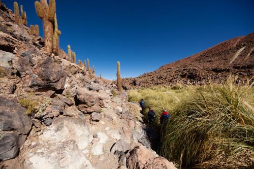 Nayara Alto Atacama