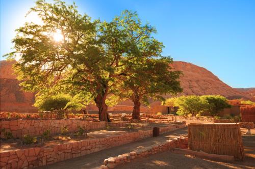 Nayara Alto Atacama