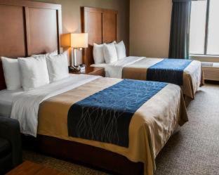 Comfort Inn Crystal Lake