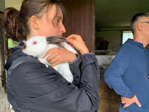 FlowMove Retreat Kamesznica FlowMove Retreat Kamesznica