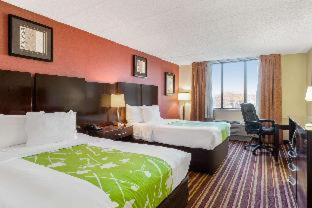 1 king bed