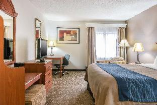 Comfort Inn Downtown - University Area