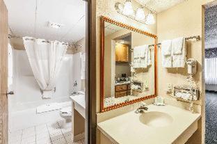 Room #49232206