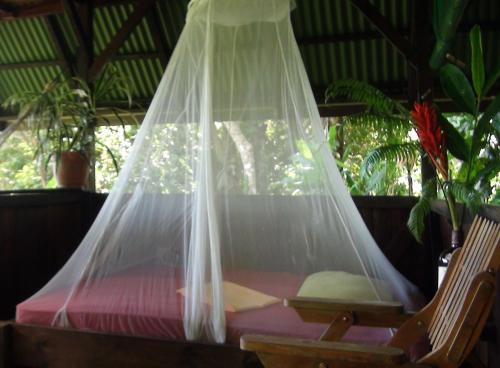 Ka'kau Jungle Cabinas