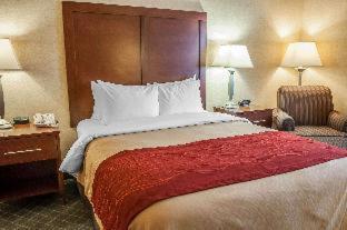 Comfort Inn and Suites in Los Alamos (NM)