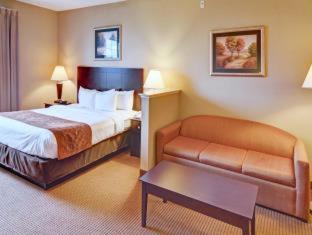 Comfort Suites Near Alliance