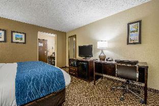 Comfort Inn  Matteson - Chicago