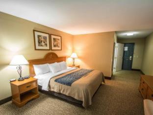 Comfort Inn & Suites I-95 - Outlet Mall in Outlet Mall