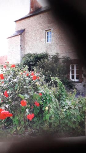 Domaine des Cigognes gîte à louer Saint-Laurent-sur-Mer