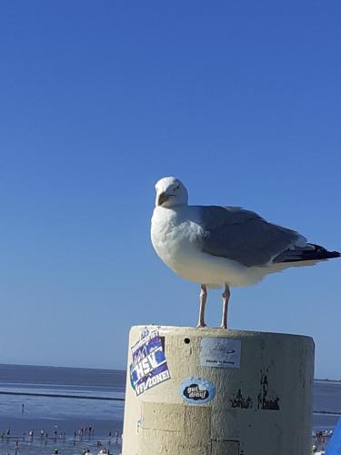 Echt Ostfriesenhus