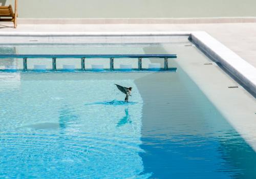 Incognito Creta Luxury Suites and More 4
