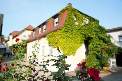 Weingut Martin Blass in Erlabrunn, Deutschland