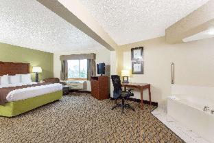 Room #31750413