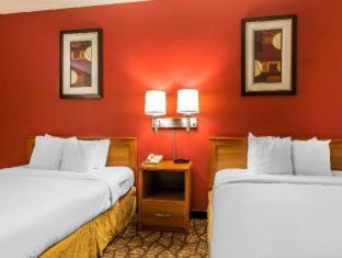 Quality Inn & Suites Chesterfield Village, Springfield (foto 7)