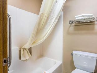 Quality Inn & Suites Chesterfield Village, Springfield (foto 9)