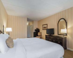 Room #2996506