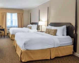Room #2996508