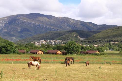 wecamp Pirineos