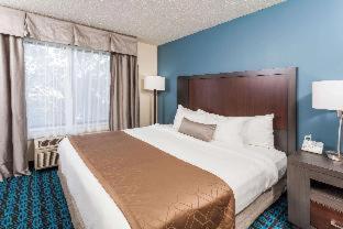 Wingate by Wyndham Chicago Schaumburg, Schaumburg (fotografie 10)