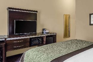 Comfort Inn & Suites Dothan East