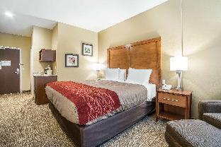 Comfort Inn & Suites Near Mt. Rushmore