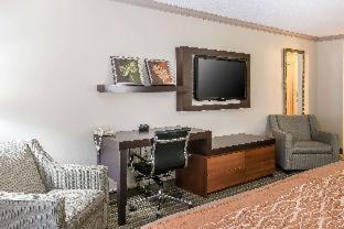 Room #49037013