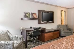 Comfort Inn Plainwell