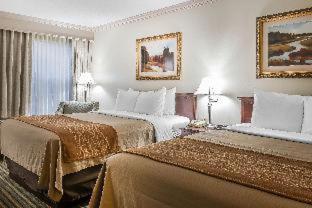 Room #49037010