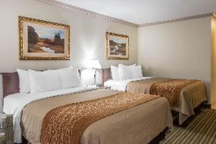 Comfort Inn Plainwell