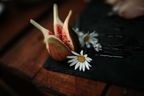 Quinta do Paço Hotel - image 13