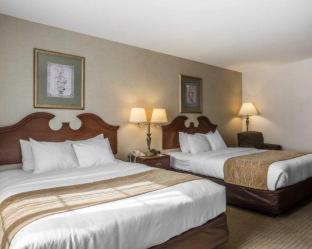 Comfort Inn and Suites East Greenbush - Albany