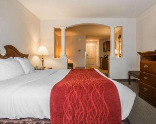 Comfort Inn and Suites East Greenbush - Albany
