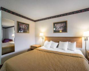 Quality Inn & Suites Caseyville - St. Louis