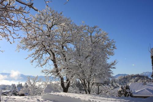 Cortalta Mountain Lodge