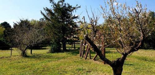 Mas Tareau la Goyaw Mas Tareau la Goyaw