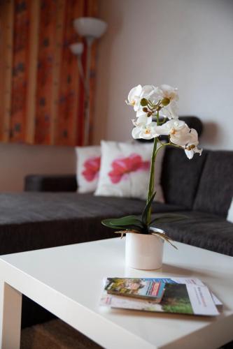 Hotel Garni Brigitte - image 3