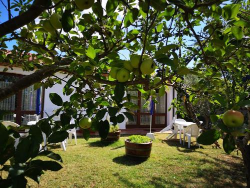  Agriturismo Valle dei Venti in La Sdriscia