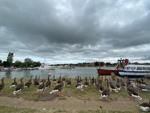 Swan View, Oulton Broad