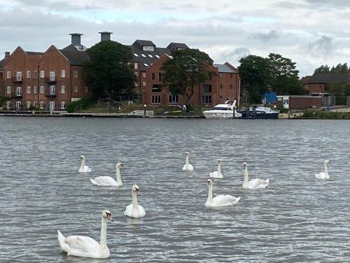 Swan View, Oulton Broad, Lowestoft (fotografie 10)